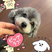 ヒメ日記 2025/03/06 15:54 投稿 ふみの 立川人妻研究会