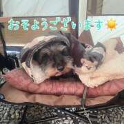 ヒメ日記 2025/03/07 13:46 投稿 ふみの 立川人妻研究会