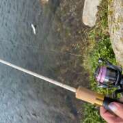 ヒメ日記 2025/04/08 14:23 投稿 ふみの 立川人妻研究会