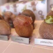 ヒメ日記 2025/05/21 15:06 投稿 ふみの 立川人妻研究会