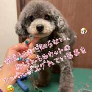 ヒメ日記 2025/05/30 15:15 投稿 ふみの 立川人妻研究会