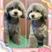 ヒメ日記 2025/07/29 14:59 投稿 ふみの 立川人妻研究会