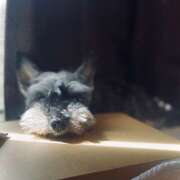 ヒメ日記 2025/09/22 13:11 投稿 ふみの 立川人妻研究会