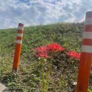 ヒメ日記 2025/09/30 16:17 投稿 ふみの 立川人妻研究会