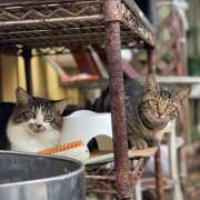 ヒメ日記 2025/10/08 14:48 投稿 ふみの 立川人妻研究会