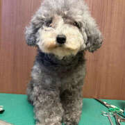 ヒメ日記 2025/11/07 16:25 投稿 ふみの 立川人妻研究会