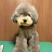 ヒメ日記 2025/11/09 10:57 投稿 ふみの 立川人妻研究会