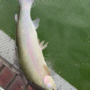 ヒメ日記 2025/11/13 13:16 投稿 ふみの 立川人妻研究会