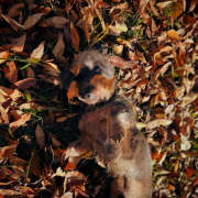 ふみの ヒィィ😱😱😱😱 立川人妻研究会