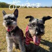 ふみの １２月😳😱 立川人妻研究会