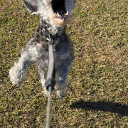 ふみの がおー🦁 立川人妻研究会