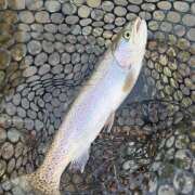 ヒメ日記 2026/01/16 16:22 投稿 ふみの 立川人妻研究会