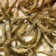 ヒメ日記 2026/01/22 16:32 投稿 ふみの 立川人妻研究会