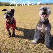 ヒメ日記 2026/02/10 11:04 投稿 ふみの 立川人妻研究会