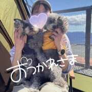 ヒメ日記 2026/04/03 11:03 投稿 ふみの 立川人妻研究会