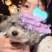 ヒメ日記 2026/04/06 16:07 投稿 ふみの 立川人妻研究会