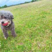 ヒメ日記 2026/04/07 15:49 投稿 ふみの 立川人妻研究会