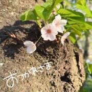 ヒメ日記 2026/04/09 14:49 投稿 ふみの 立川人妻研究会