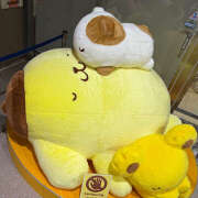 ふみの むずかしいこと、しらんぷりん♪🍮 立川人妻研究会