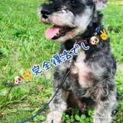 ヒメ日記 2026/09/30 15:29 投稿 ふみの 立川人妻研究会