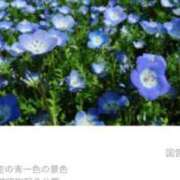 ヒメ日記 2024/04/26 17:30 投稿 里恋(りこ) 八王子人妻城