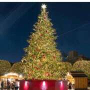 ヒメ日記 2024/12/25 15:03 投稿 里恋(りこ) 八王子人妻城