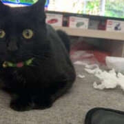 ヒメ日記 2026/04/15 17:59 投稿 大宮じゅんこ 華女(かのじょ) 松山店