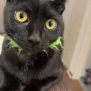 大宮じゅんこ こんにちは 華女(かのじょ) 松山店