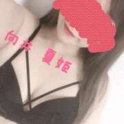 ヒメ日記 2026/06/08 21:50 投稿 向井 夏姫 30代40代50代と遊ぶなら博多人妻専科24時