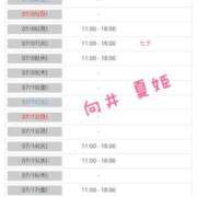 ヒメ日記 2026/06/29 21:44 投稿 向井 夏姫 30代40代50代と遊ぶなら博多人妻専科24時