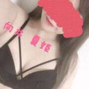 向井 夏姫 𝑻𝒉𝒂𝒏𝒌𝒔♡ 30代40代50代と遊ぶなら博多人妻専科24時