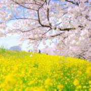 ヒメ日記 2025/02/28 19:02 投稿 りさこ 奥様の実話 谷九店