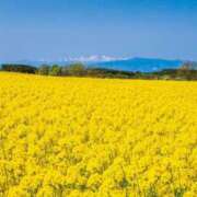 ヒメ日記 2025/04/30 20:01 投稿 りさこ 奥様の実話 谷九店