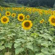 ヒメ日記 2025/07/31 19:51 投稿 りさこ 奥様の実話 谷九店