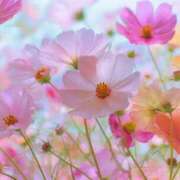 りさこ こんばんは！ 奥様の実話 谷九店