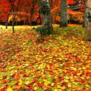 りさこ 今月も 奥様の実話 谷九店