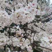 ヒメ日記 2026/04/01 19:01 投稿 りさこ 奥様の実話 谷九店