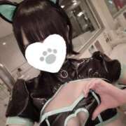 ヒメ日記 2025/02/04 10:42 投稿 ほたる SOAPLAND LOVE FACTORY