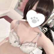 ヒメ日記 2025/03/15 16:02 投稿 ほたる SOAPLAND LOVE FACTORY