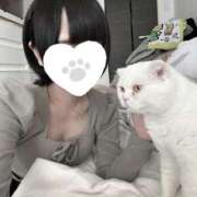 ヒメ日記 2025/04/18 19:29 投稿 ほたる SOAPLAND LOVE FACTORY