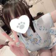 ヒメ日記 2025/06/27 15:48 投稿 ほたる SOAPLAND LOVE FACTORY