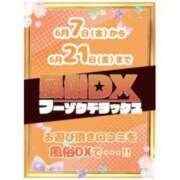 ヒメ日記 2024/06/11 14:28 投稿 はむ ていくぷらいど.学園