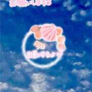 ヒメ日記 2024/11/04 12:48 投稿 はるか 川崎・東横人妻城