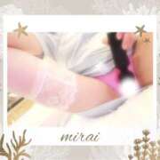 ヒメ日記 2024/12/29 09:38 投稿 みらい モアグループ川越人妻花壇