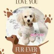 ヒメ日記 2025/01/09 11:33 投稿 みらい モアグループ川越人妻花壇