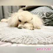 ヒメ日記 2025/01/12 19:17 投稿 みらい モアグループ川越人妻花壇