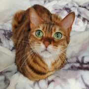 ヒメ日記 2025/01/21 11:49 投稿 みらい モアグループ川越人妻花壇