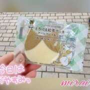 ヒメ日記 2025/03/06 10:50 投稿 みらい モアグループ川越人妻花壇