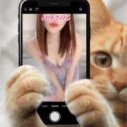 ヒメ日記 2025/03/08 09:46 投稿 みらい モアグループ川越人妻花壇