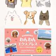 ヒメ日記 2025/03/10 09:23 投稿 みらい モアグループ川越人妻花壇